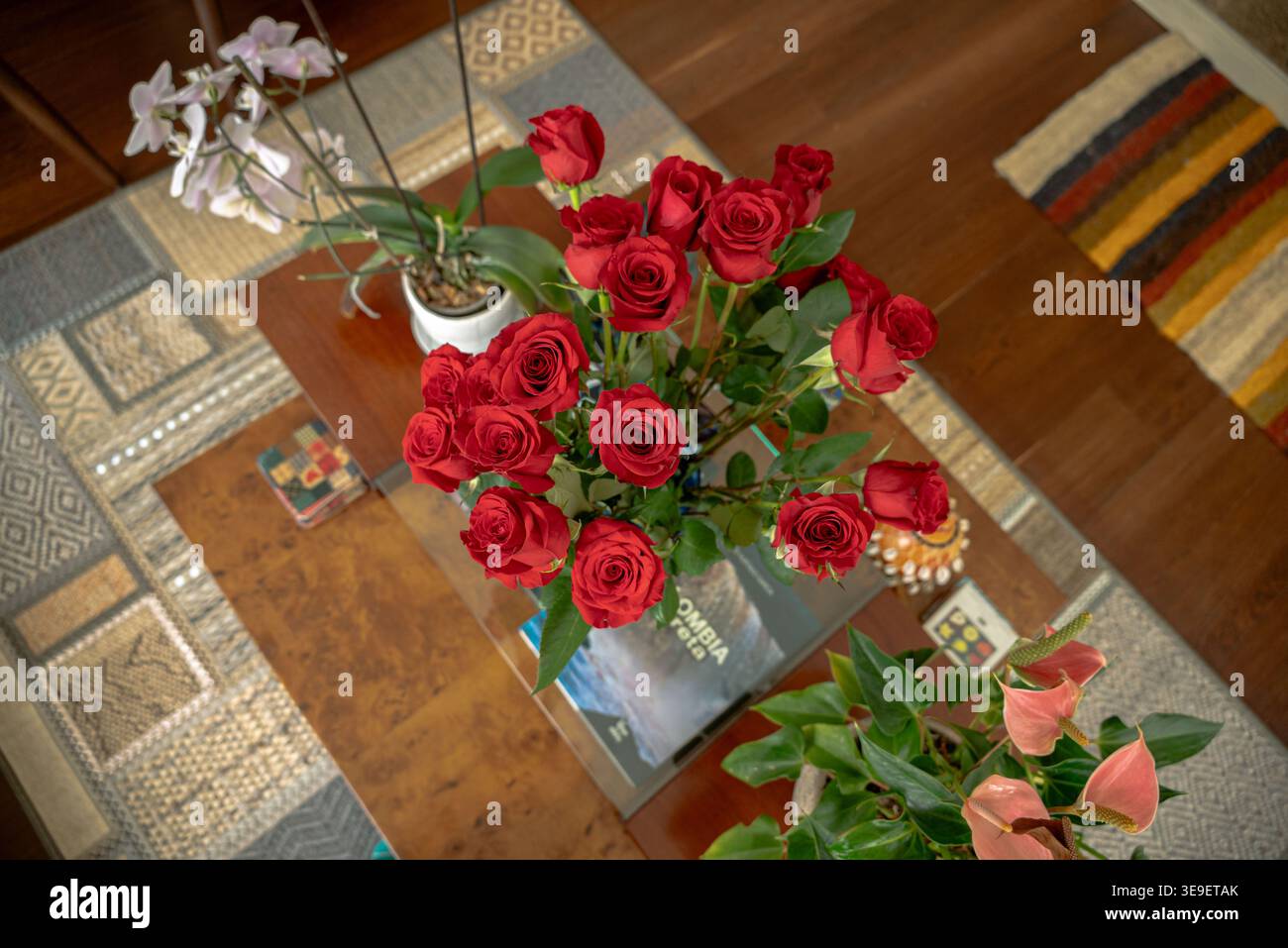 Blumen im Haus und im Garten Stockfoto