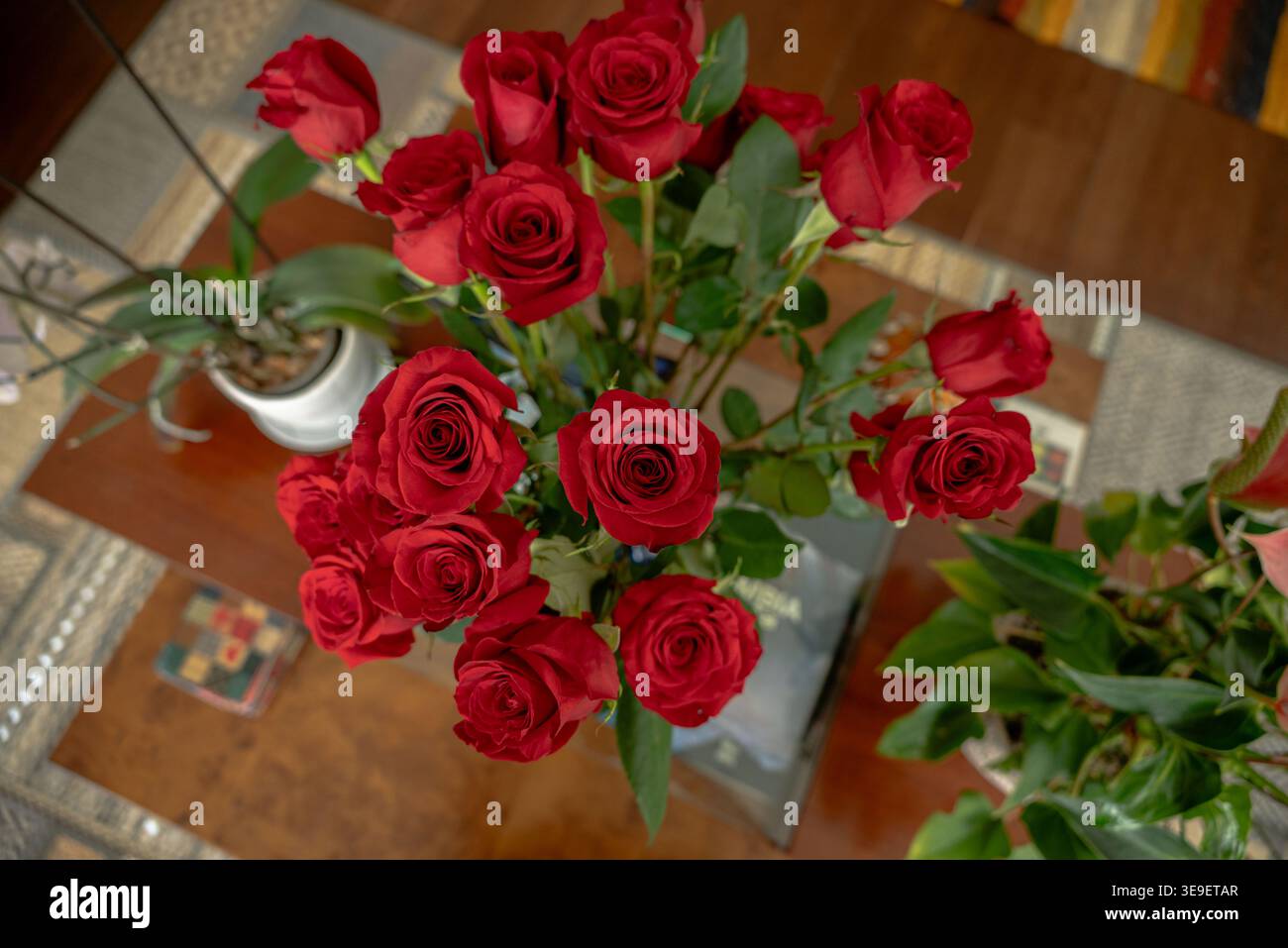 San Jordi und die Rosen Stockfoto