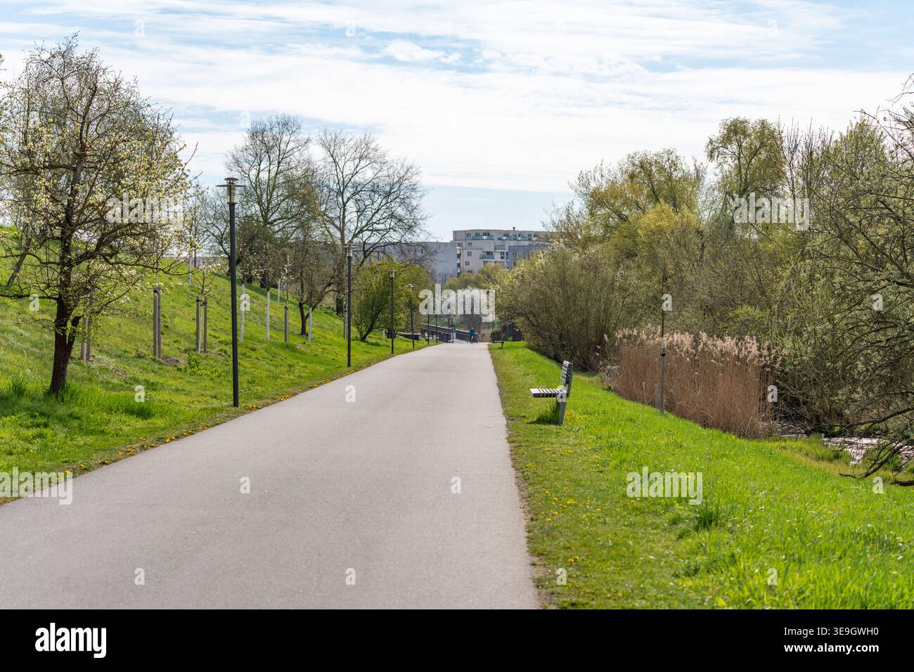 Ein gepflasterter Weg führt durch eine grüne Parklandschaft mit Bäumen und Bänken. Die Szene zeigt eine friedliche Umgebung im Frühling. Stockfoto
