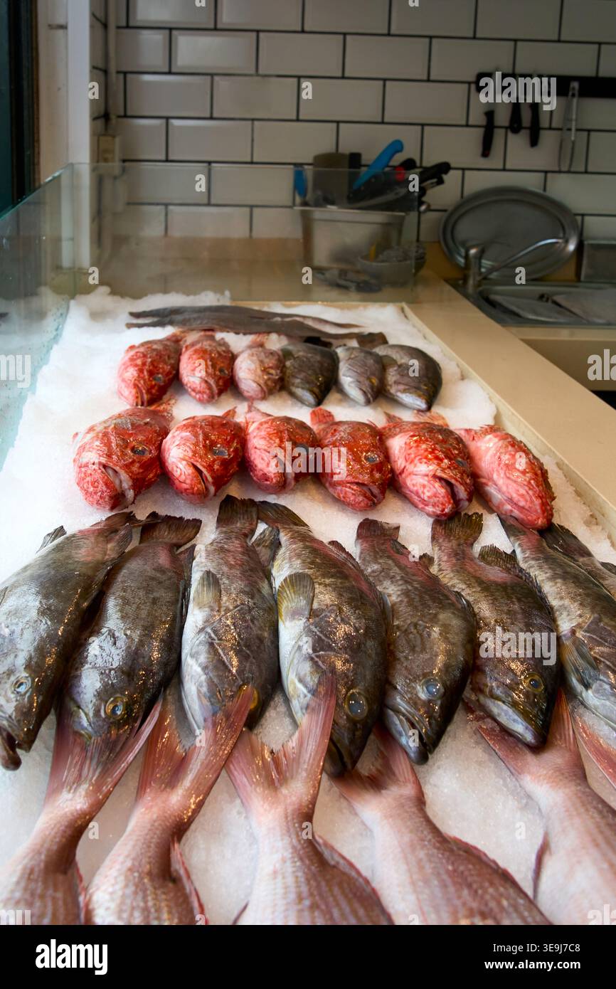 Gemischter frischer Fisch, einschließlich roter Zackenbarsch und Wolfsbarsch, auf Eis. Hochwertige, rohe Meeresfrüchte für professionelle Kochkünste Stockfoto