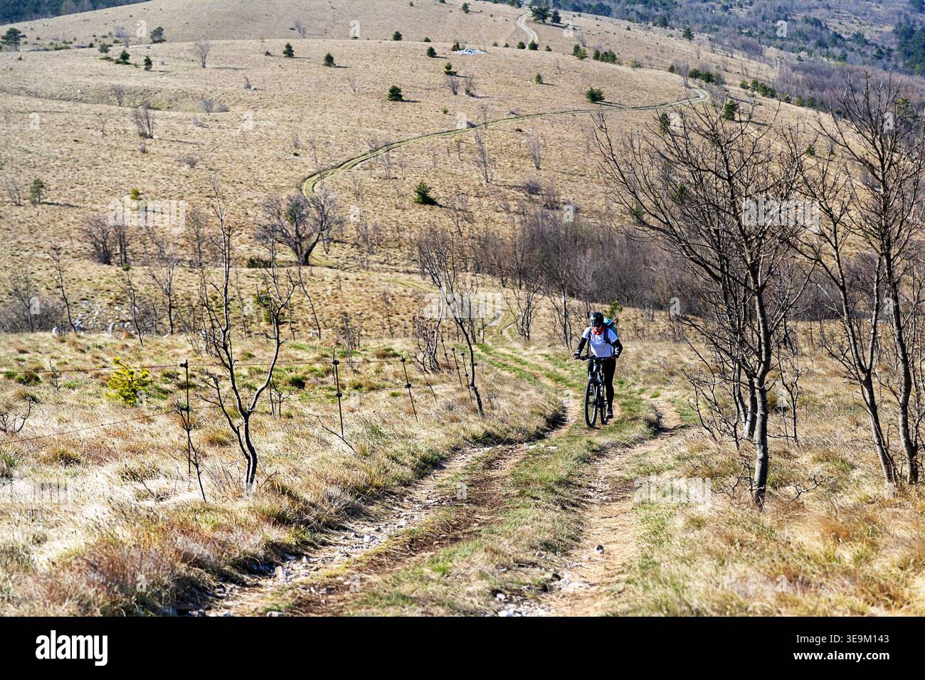 Eine Radfahrerin auf einer späten Frühlingsradtour entlang der rauen Karst-Hügelpfade von Slavnik, genießt die panoramischen Primorska-Ansichten, Slowenien. Stockfoto