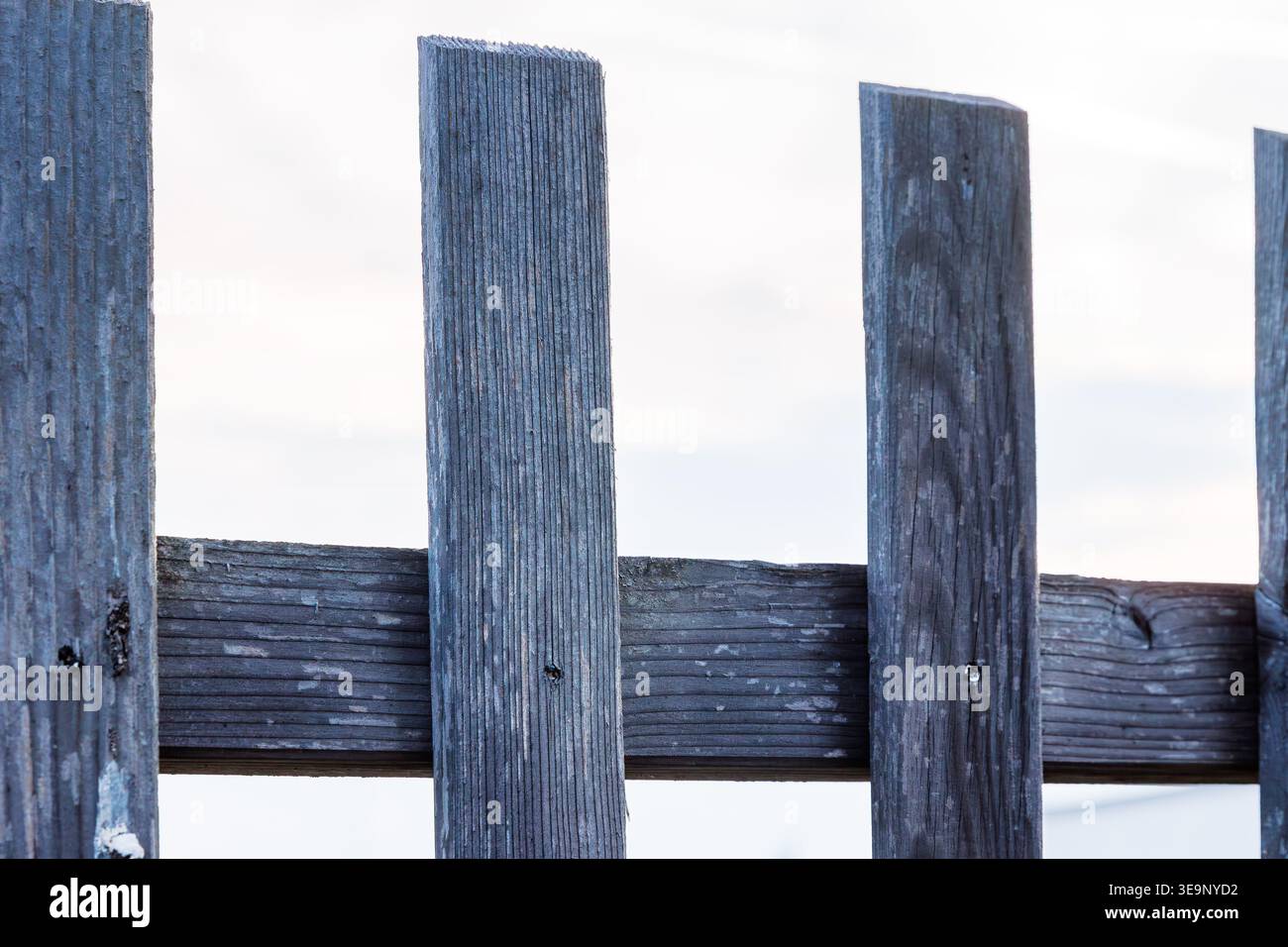 Verwitterte Zaunbretter aus Holz vor hellem Himmel aus nächster Nähe. Rustikaler Außenhintergrund mit Kopierraum und minimaler Komposition. Stockfoto