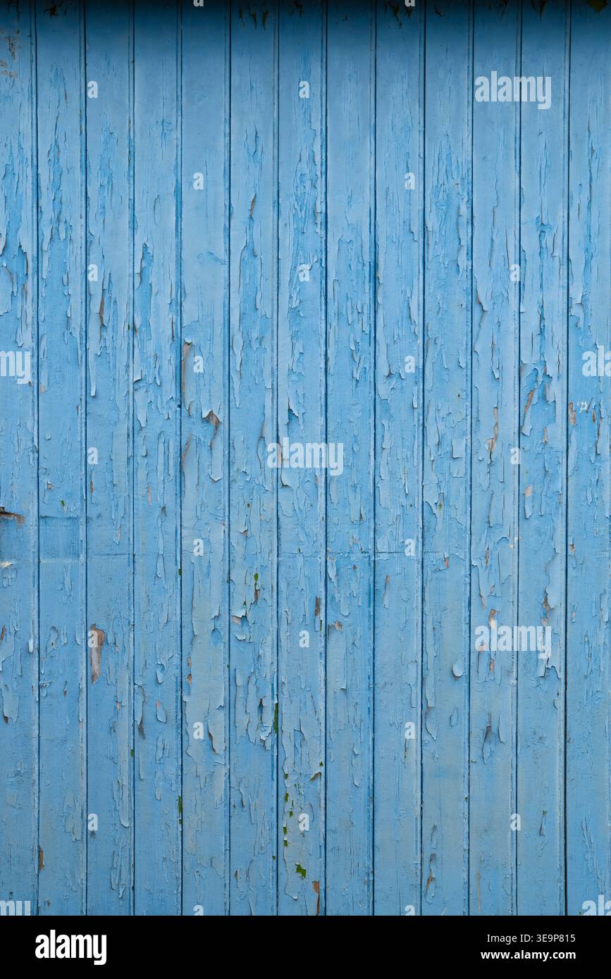 Blaue Holzstruktur mit veralteter Farbe auf vertikalen Brettern Stockfoto