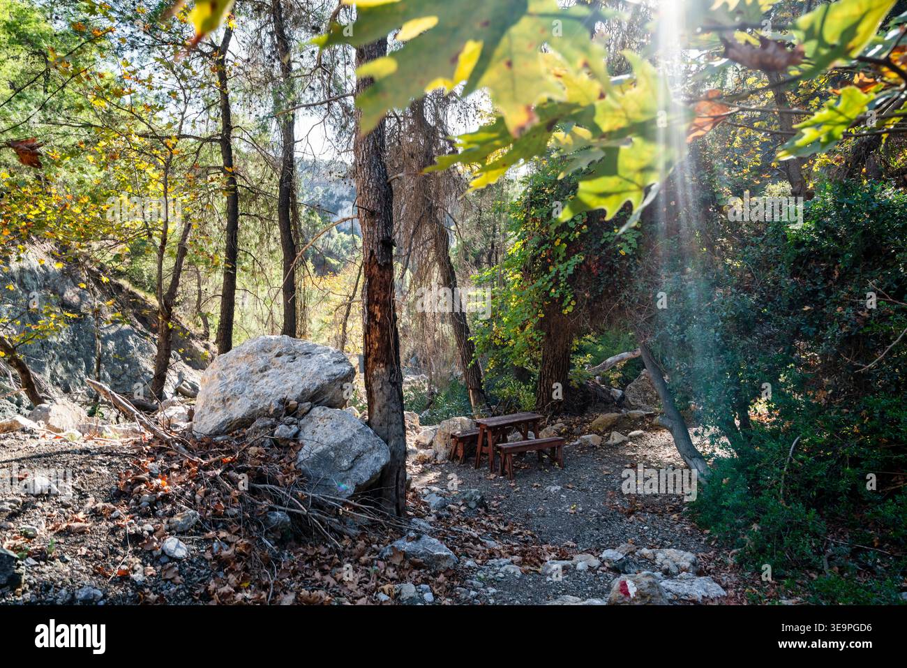 Friedliche Waldruhestätte in Euböa, Griechenland mit Holzbänken, Felsen und Sonnenlicht, das durch Bäume filtert. Ideal für Entspannung, Wanderurlaub, oder Stockfoto