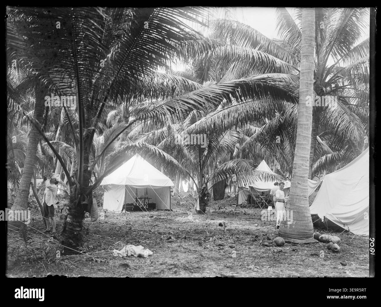 Henry Winkelmanns Foto (1907) zeigt die Zelte von F. K. McClean und Henry Winkelmann in McCleans Camp. James W. Short trinkt aus einer Kokosnuss, während andere Mitglieder des Camps in der Nähe erscheinen, umgeben von Palmen. Stockfoto