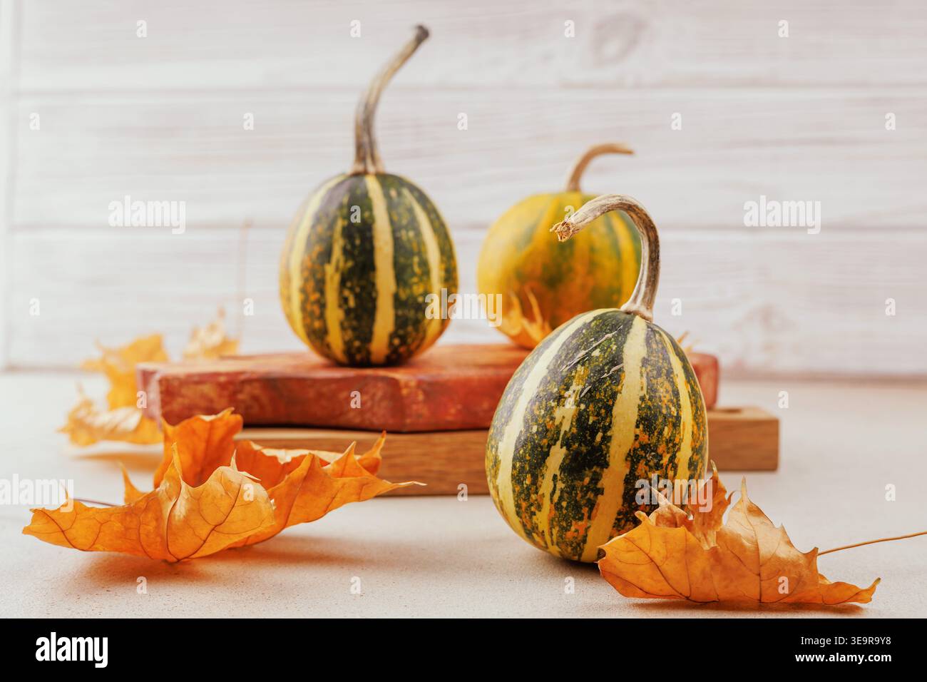 Herbstszene mit gelben grünen Kürbissen und trockenen Blättern Stockfoto