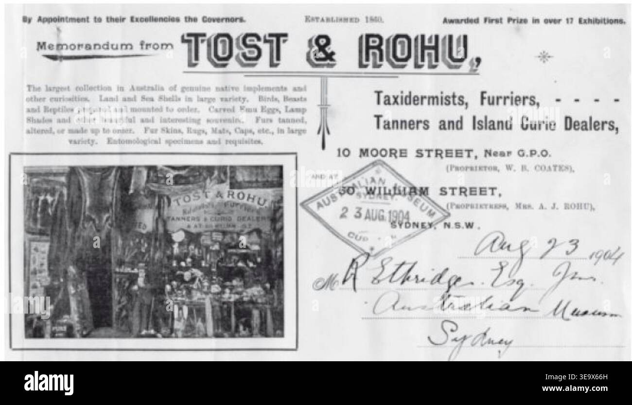 Tost & Rohu war ein etabliertes Unternehmen in Sydney, bekannt für seine große Auswahl an Kuriositäten, Präparaten, Pelzen und Gerbwaren. Dieses Memorandum aus dem Jahr 1904 ist seit 1697 aktiv und zeigt das vielfältige Angebot des Shops und seinen Ruhm in ganz Australien für seine ungewöhnliche Sammlung von Artikeln. Stockfoto