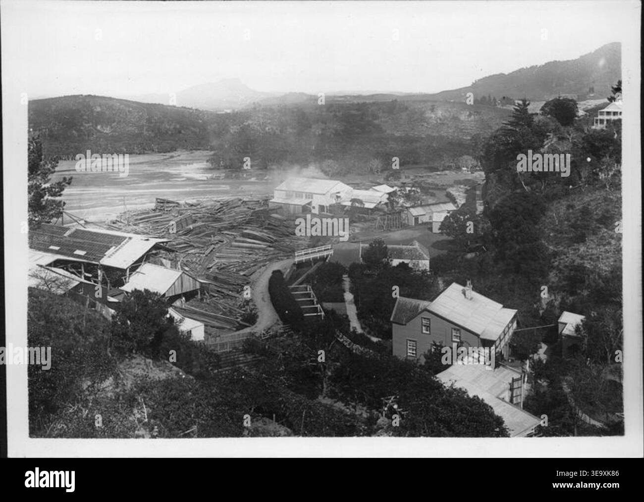 Henry Winkelmann (1860–1931) war ein neuseeländischer Fotograf. Lane & Brown's Yards in Totara North, betrieben von Lane & Sons Ltd., wurden 1902 während der „Greyhound“-Kreuzfahrt fotografiert. Der historische Fotodruck dokumentiert das Layout und die Holzverarbeitungseinrichtungen. Stockfoto