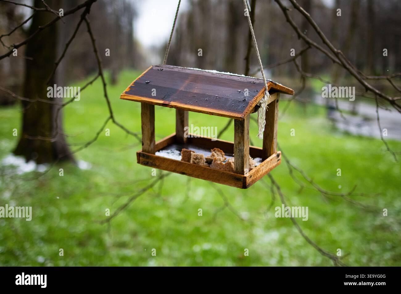 Verwitterter Schrägförderer schwingt über frisches Gras auf dünnen Kabeln. Der einfache Holzrahmen wartet im Wind auf Besucher, während der Park zwischen dem Finale hin und her gleitet Stockfoto