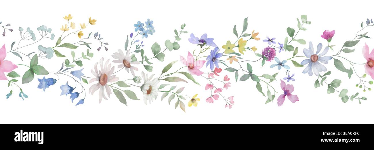 Nahtloser Blumenrand in Aquarellfarben mit wilden Gänseblümchen und Wiesenblumen. Botanisches Sommerfeld Pflanzen horizontales Muster. Handgemaltes Grün. Vektor. Stock Vektor