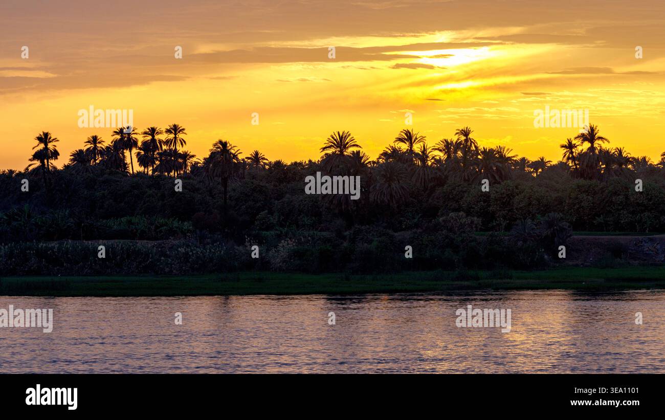 Palmensilhouetten bei Sonnenuntergang, Nil, Ägypten Stockfoto