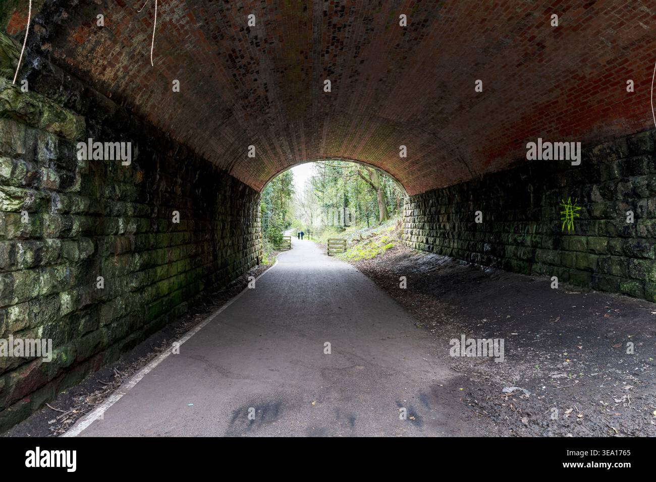 Blick aus dem Inneren eines gemauerten Eisenbahnbrückentunnels entlang des Whitby Cinder Track, der einen gepflasterten Wander- und Radweg zeigt, der in den Wald führt. Das Formular Stockfoto