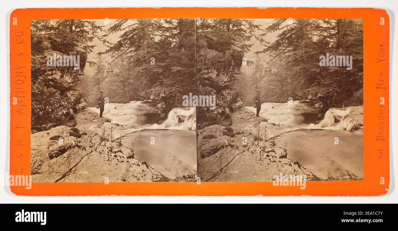 Blick hinunter auf den Kauterskill, aus dem New Laurel House, Nr. 4202 aus der Serie The Glens of the Catskills von Anthony and Company, 1869–1900, stereoskopischer Blick auf einen felsigen Gebirgsbach, der von dichten Baumkronen umgeben ist Stockfoto