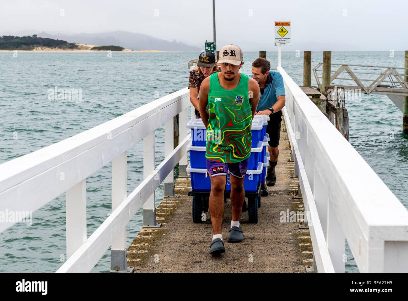 Männer, die frischen Fisch von Einem Fischerboot abladen, Opononi, Northland, Neuseeland. Stockfoto