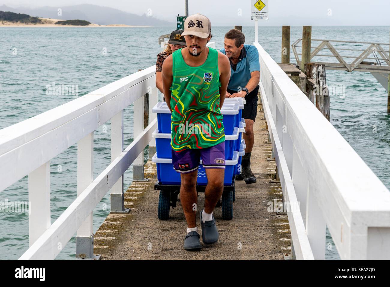 Männer, die frischen Fisch von Einem Fischerboot abladen, Opononi, Northland, Neuseeland. Stockfoto