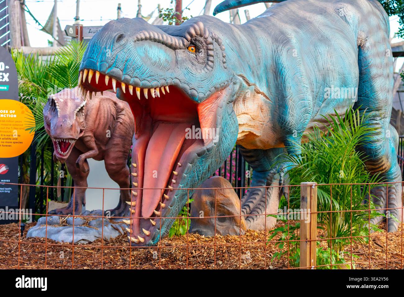 Ein großes Dinosauriermodell, das in einem Wildtier- und Freizeitpark im Westen von Sydney in New South Wales, Australien, ausgestellt wird Stockfoto
