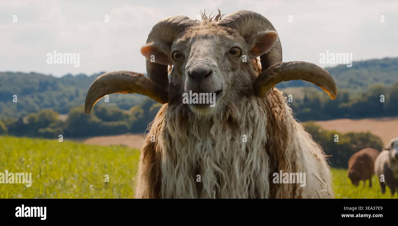 ERSCHEINUNGSDATUM: 8. Mai 2026 TITEL: The Sheep Detectives STUDIO: Amazon MGM Studios REGISSEUR: Kyle Balda PLOT: Jede Nacht liest ein Hirte ein Mordgeheimnis vor und tut so, als ob seine Schafe es verstehen können. Als er tot aufgefunden wird, erkennen die Schafe sofort, dass es ein Mord war, und denken, sie wissen alles darüber, wie sie ihn lösen sollen. DIE HAUPTROLLE: Patrick Stewart als Stimme von Sir Ritchfield NUR REDAKTIONELLE VERWENDUNG! Nicht für kommerzielle ZWECKE! Stockfoto