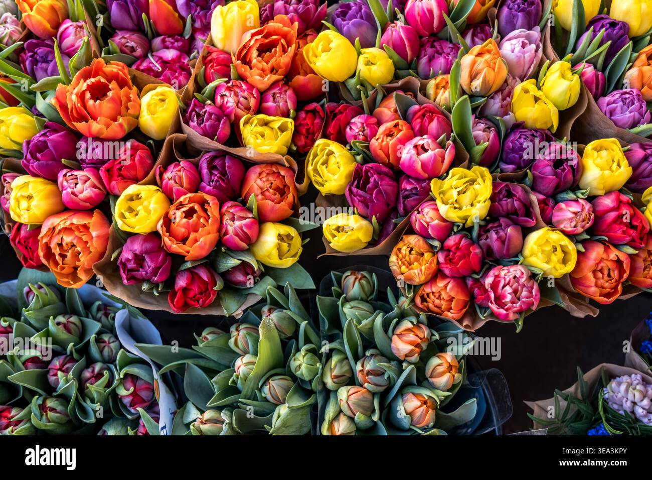 Lebendige Blumen-Bundles Street Market Wandkunst | schöne Kunst Blumenfotografie für Wohnkultur Stockfoto