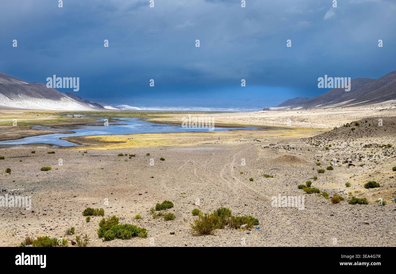 Ebene in den bolivianischen Anden Stockfoto