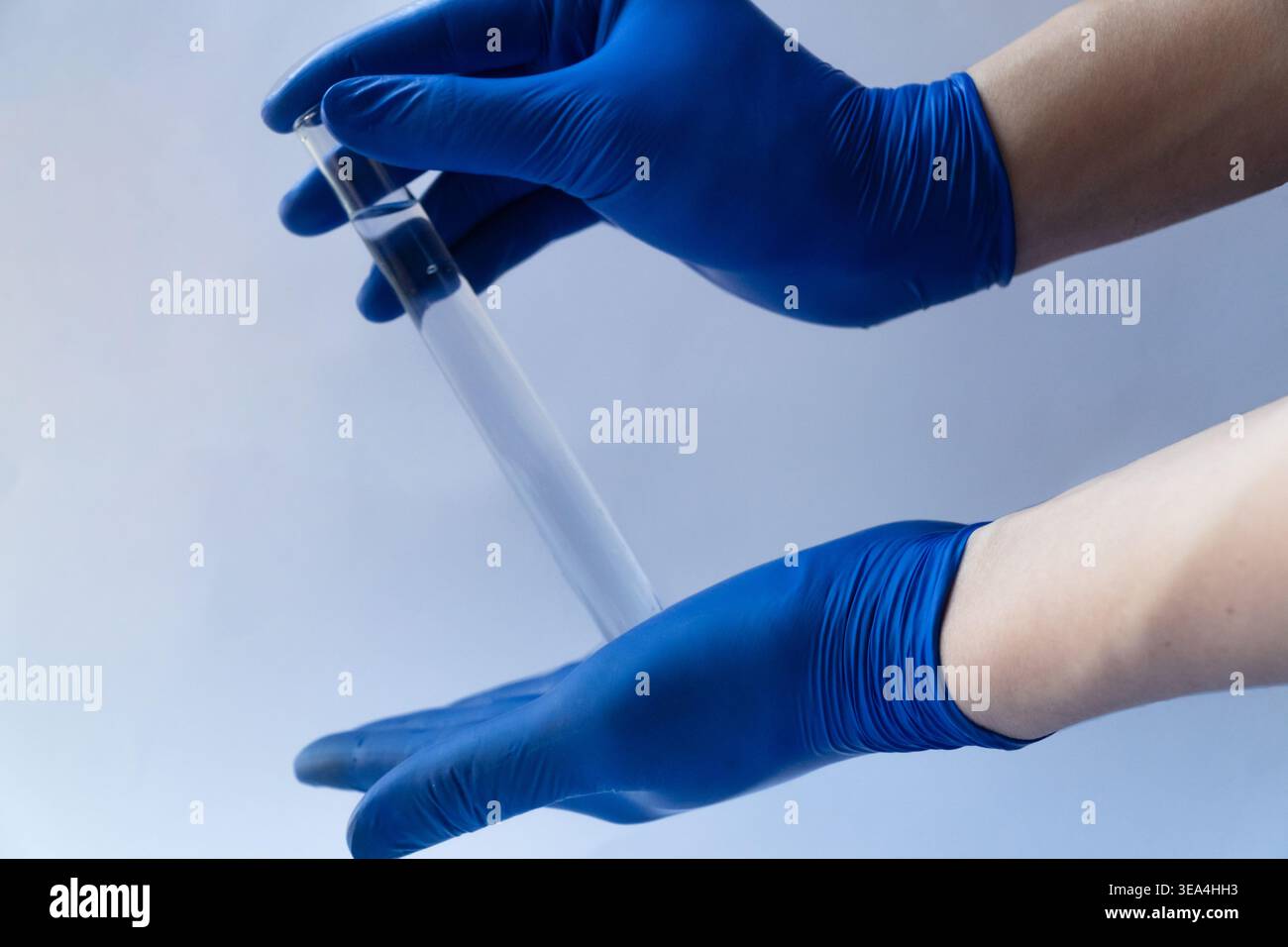 Zwei Hände tragen blaue Nitrilhandschuhe und halten vorsichtig ein mit klarer Flüssigkeit gefülltes Glasröhrchen. Stockfoto