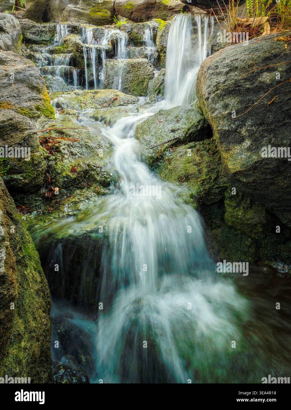Kleiner Waldwasserfall, der über moosige Felsen in einer Waldlandschaft stürzt, die mit langer Exposition erfasst wurde. Stockfoto