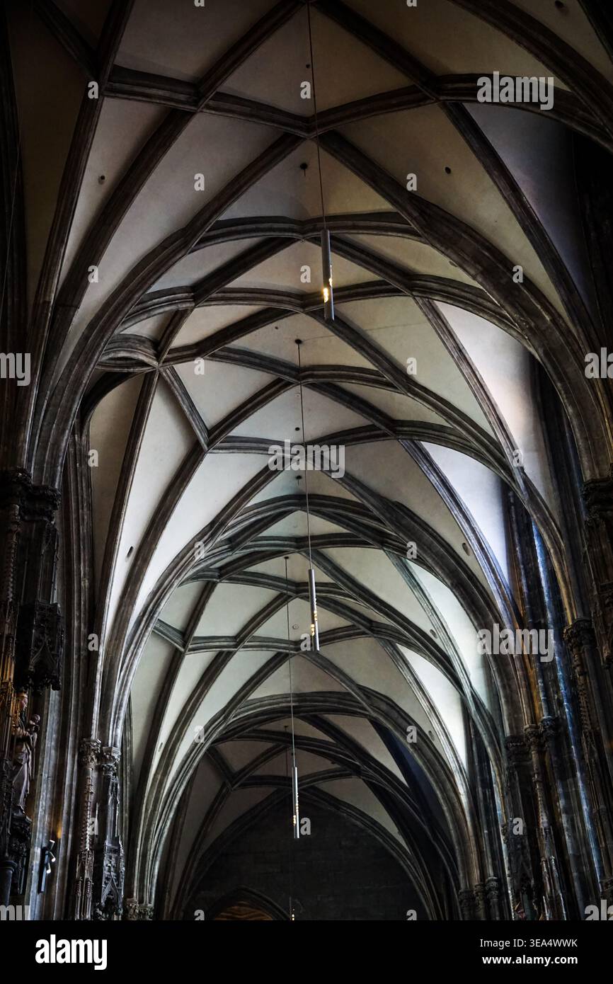 Gotische Kathedraldecke mit Rippengewölben und Hängelampen im historischen Kircheninneren in Wien Stockfoto