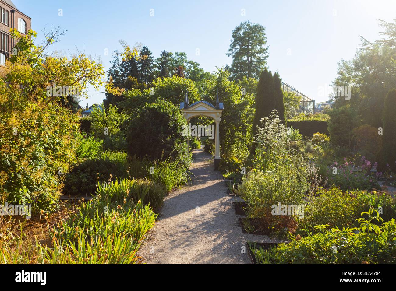 Die historischen Gärten des Hortus Botanicus mit einem dekorativen Bogengang und üppigen Pflanzen in der Stadt Leiden, Niederlande Stockfoto