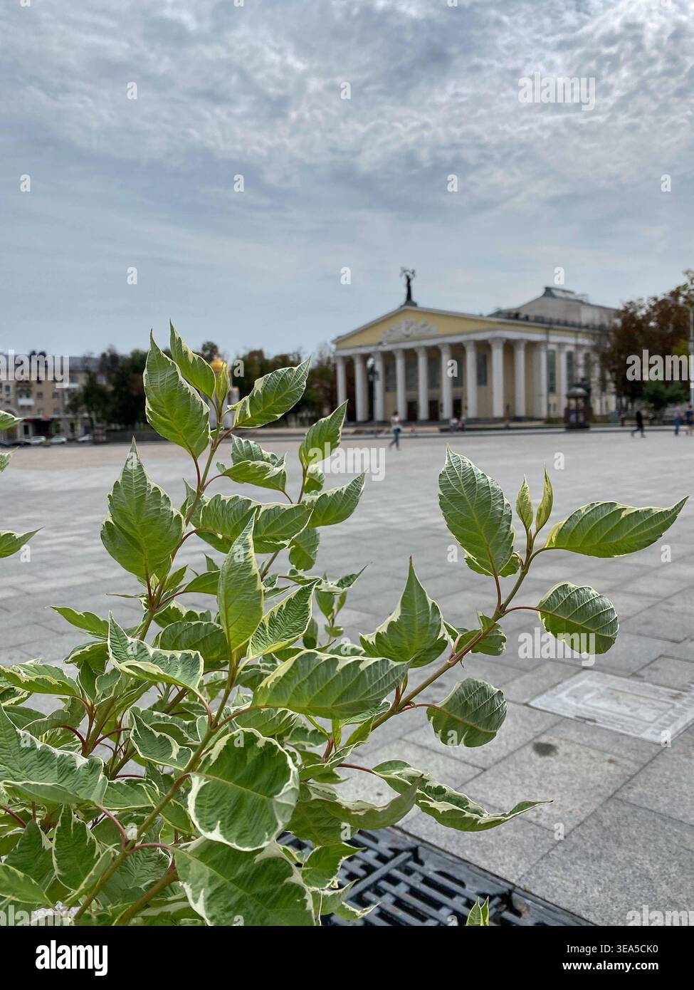 Belgorod, Russland, 8. August 2021: Grüne Blätter im Vordergrund mit klassischem Gebäude und Stadtplatz im Hintergrund, weiche urbane Komposition - Smartphone-aufgenommenes Stockfoto