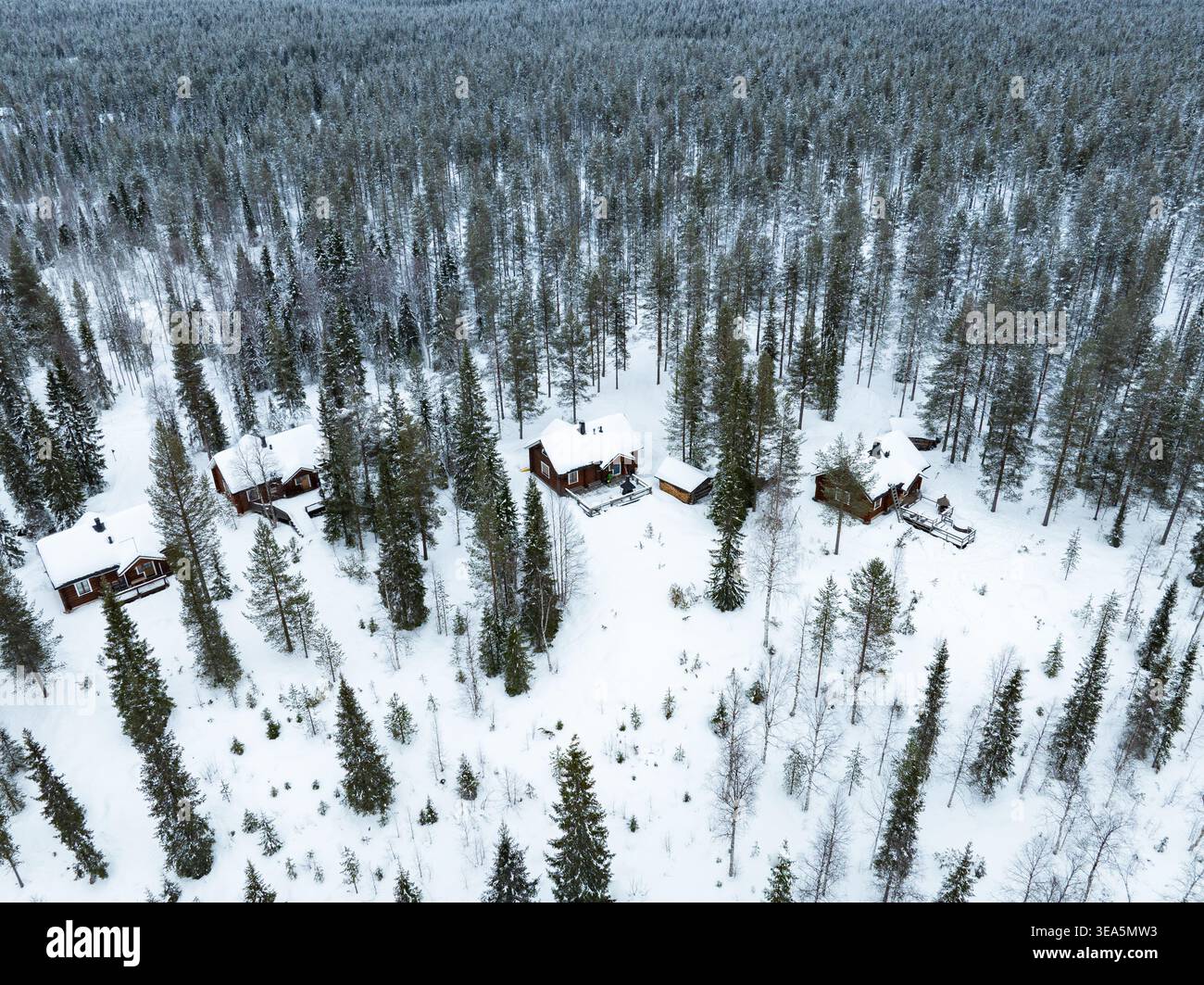 Blick aus der Vogelperspektive auf Holzhütten, eingebettet zwischen schneebedeckten Kiefern in einem riesigen Winterwald Lappland, Finnland. Stockfoto