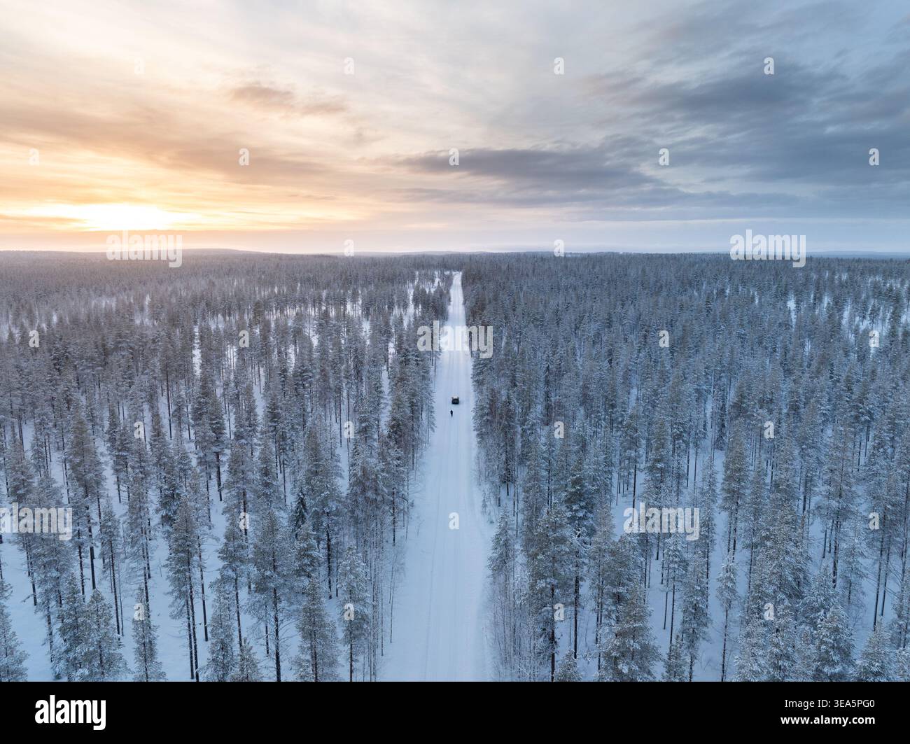 Aus der Vogelperspektive eines schneebedeckten Nadelwaldes mit einer geraden Straße unter einem weichen Sonnenuntergangshimmel in Lappland, Finnland. Stockfoto