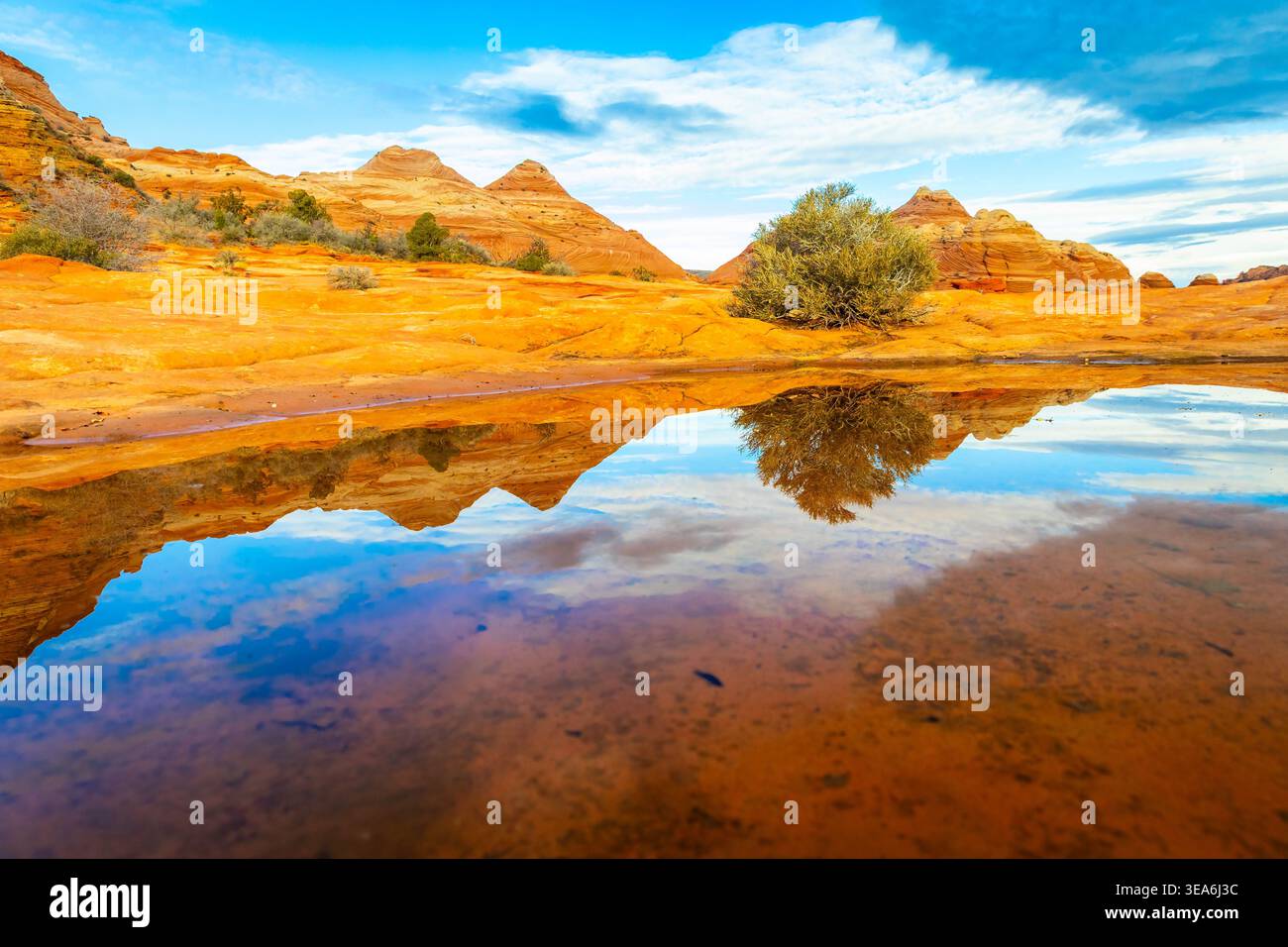 Die Panorama-Sandsteinformationen der Twin Buttes spiegeln sich im Wasser entlang des Wave Trail in Coyote Buttes North Arizona Stockfoto