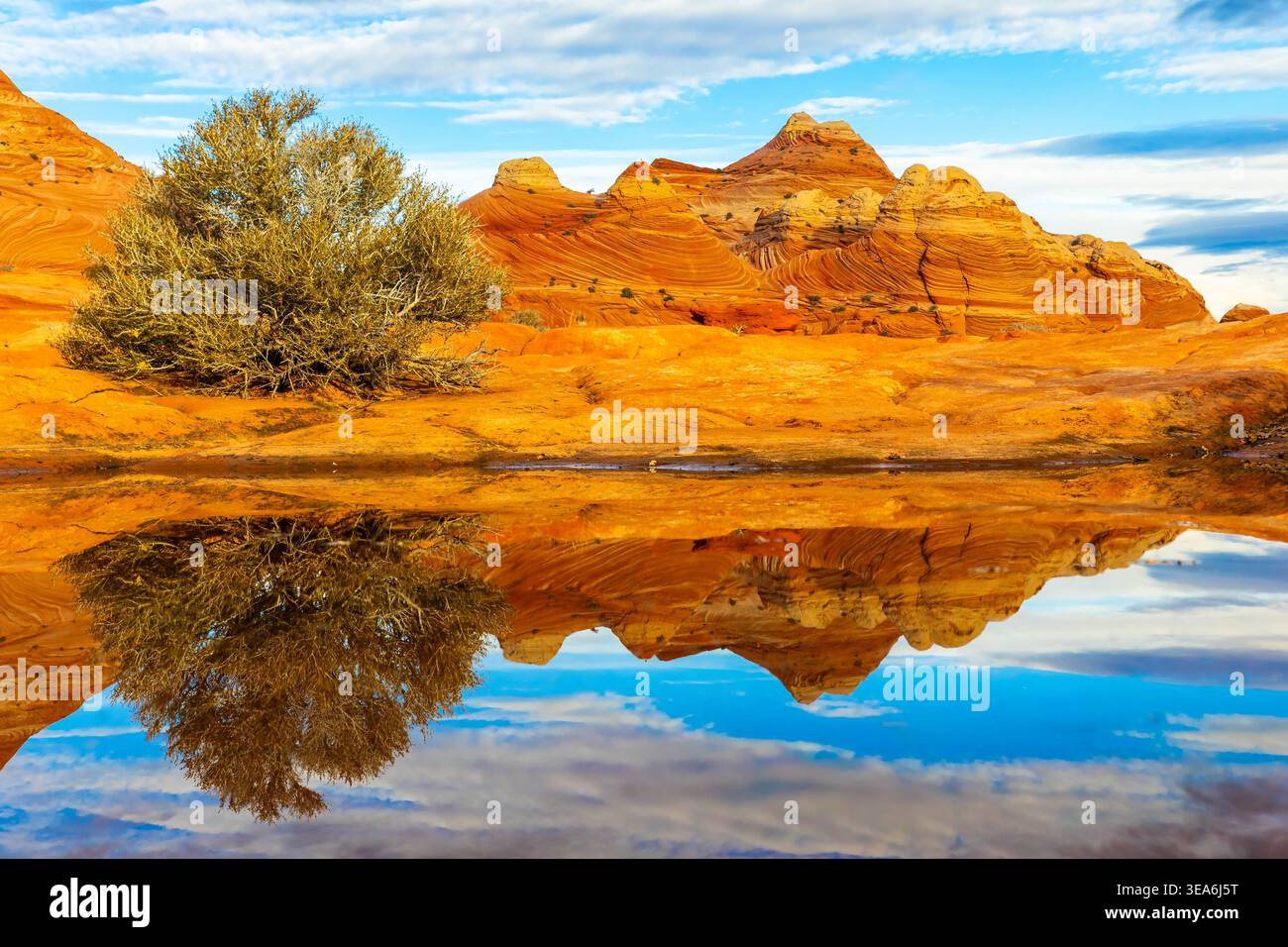 Die Panorama-Sandsteinformationen der Twin Buttes spiegeln sich im Wasser entlang des Wave Trail in Coyote Buttes North Arizona Stockfoto