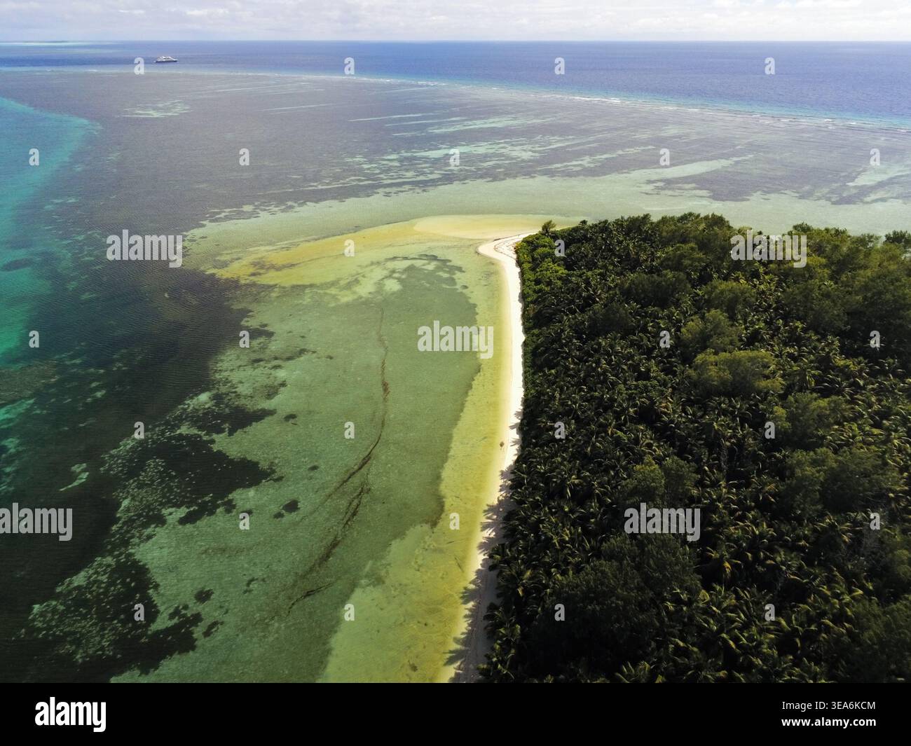 Aus der Vogelperspektive auf die Ile Alphonse mit dichten Palmenwäldern, einer weißen Sandküste und türkisfarbenen Korallenriffgewässern der Seychellen. Stockfoto