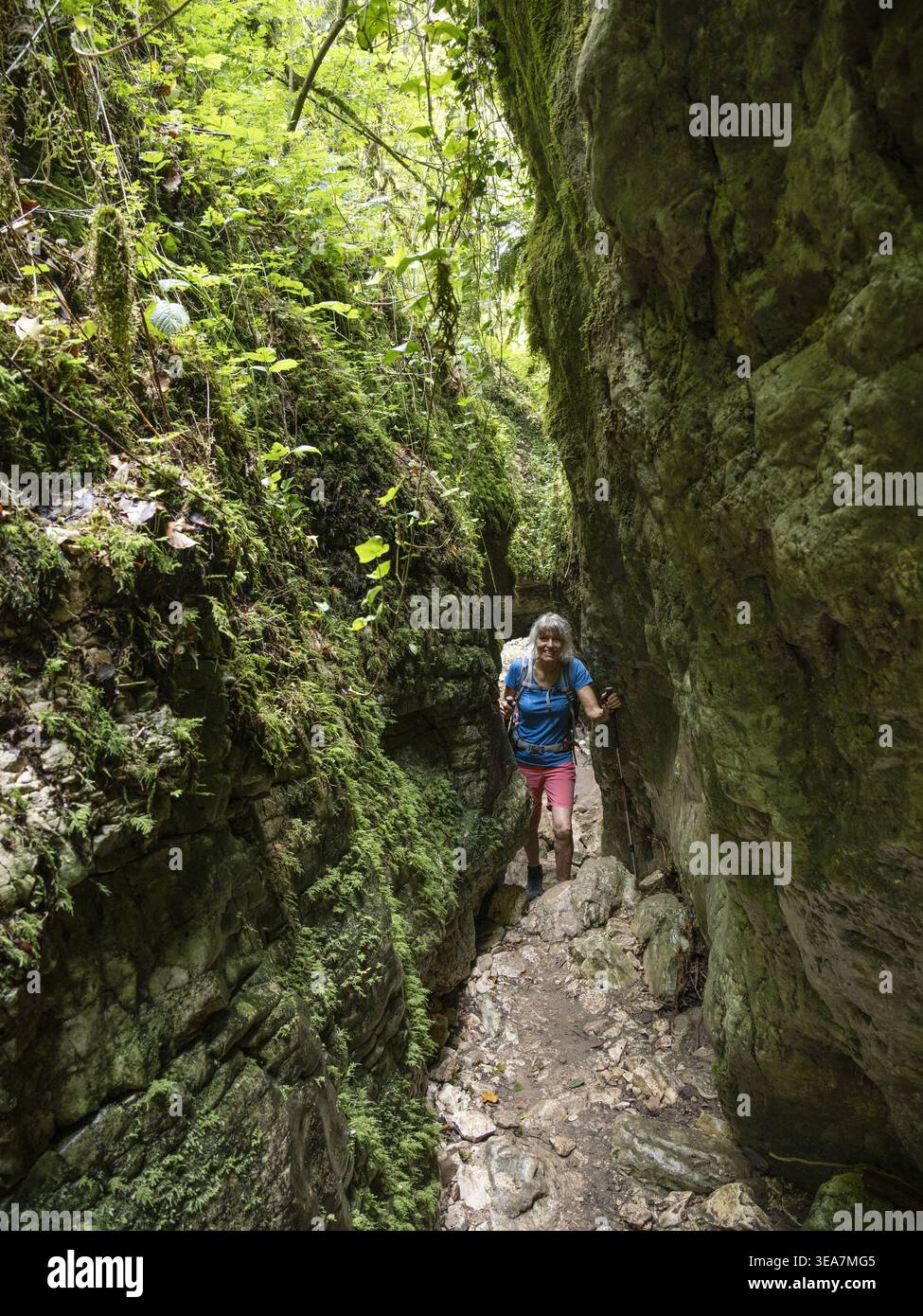 Frau beim Wandern im Gueulards Canyon, Drôme-Tal, Vercors Regional Natural Park, Frankreich, Europa Stockfoto