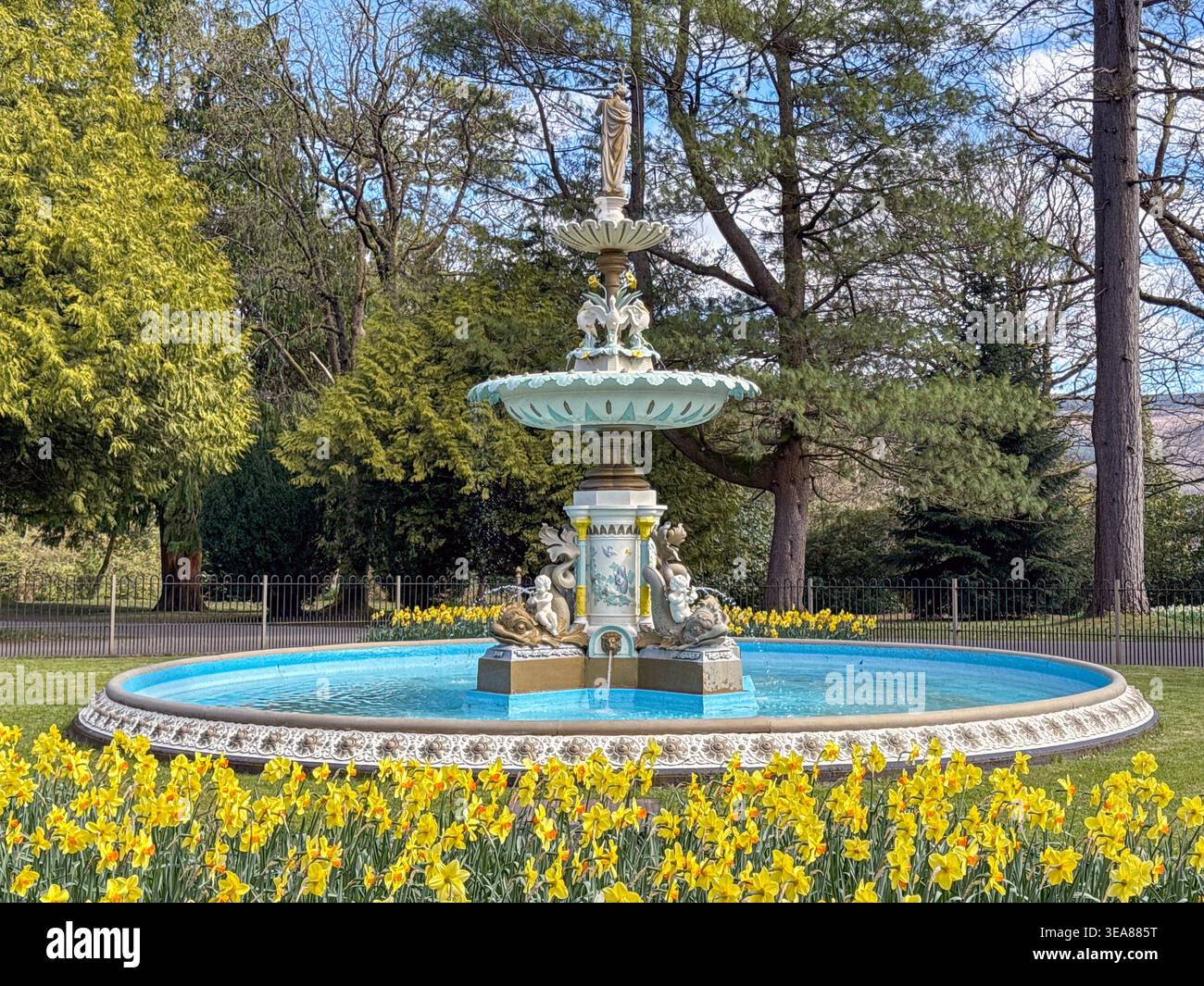 Aberdare, Wales, Großbritannien - 2. April 2026: Reich verzierter Krönungsbrunnen von 1911 umgeben von Narzissen in Blume im Aberdare Park. - Smartphone-aufgenommenes Stockfoto