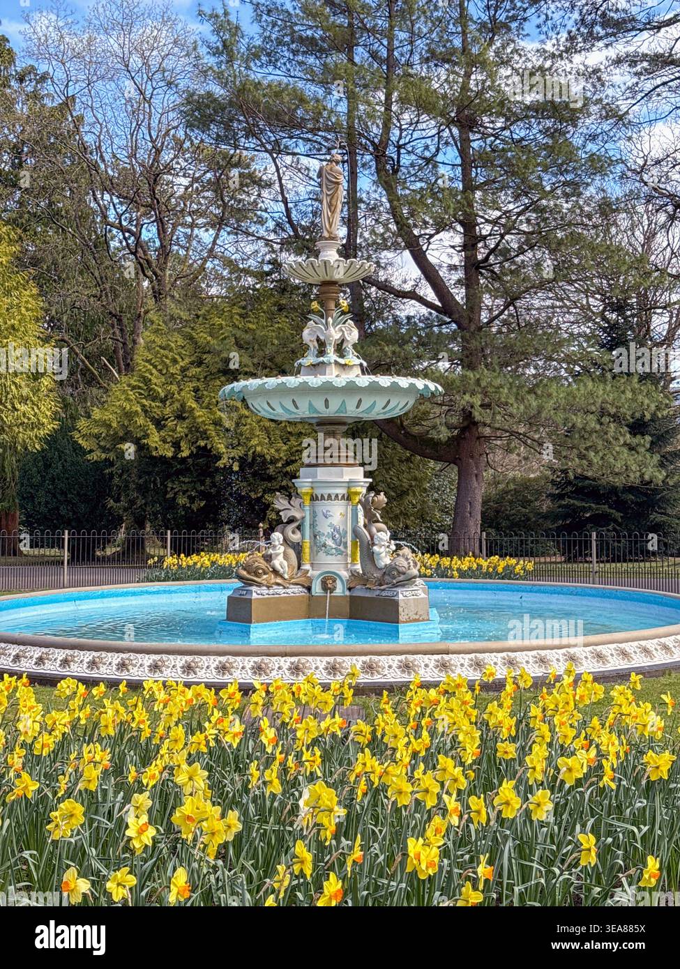 Aberdare, Wales, Großbritannien - 2. April 2026: Reich verzierter Krönungsbrunnen von 1911 umgeben von Narzissen in Blume im Aberdare Park. - Smartphone-aufgenommenes Stockfoto