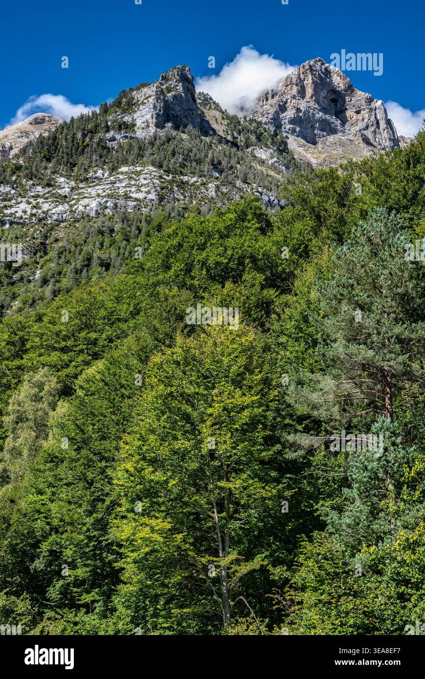 Valle de Pineta, Pineta Valley, Sobrarbe, Huesca, Aragon, Spanien. September 2024 Stockfoto