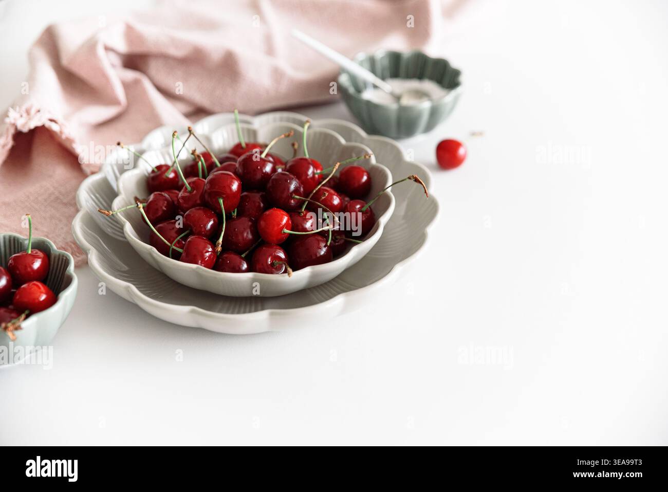 Minimalistische Komposition mit frischen roten Kirschen mit Stängeln, die in geschwungenen Keramikschalen auf einem weißen Tisch angeordnet sind Stockfoto