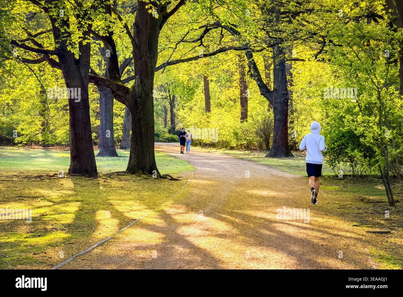 Jogger am Quellweg, Eichendach, Lichteinfelder, Tiergarten, Mitte, Berlin, Deutschland Stockfoto