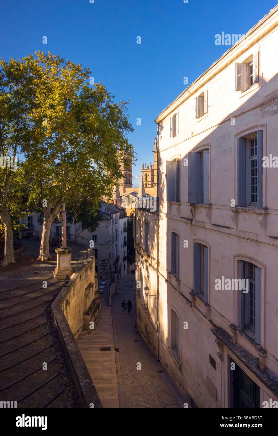 Blick von der Place de la Canourgue entlang einer schmalen historischen Straße in Richtung der Medizinischen Fakultät in Montpellier, Occitanie, Frankreich. Stockfoto