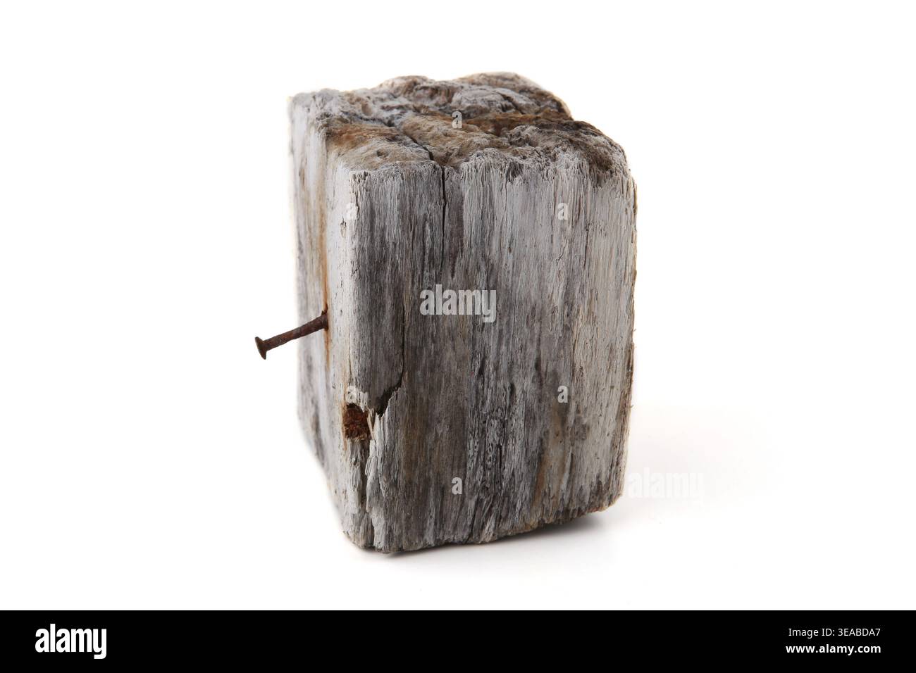 Treibholz isoliert auf weißem Hintergrund. Ein Stück Seeholz. Stockfoto