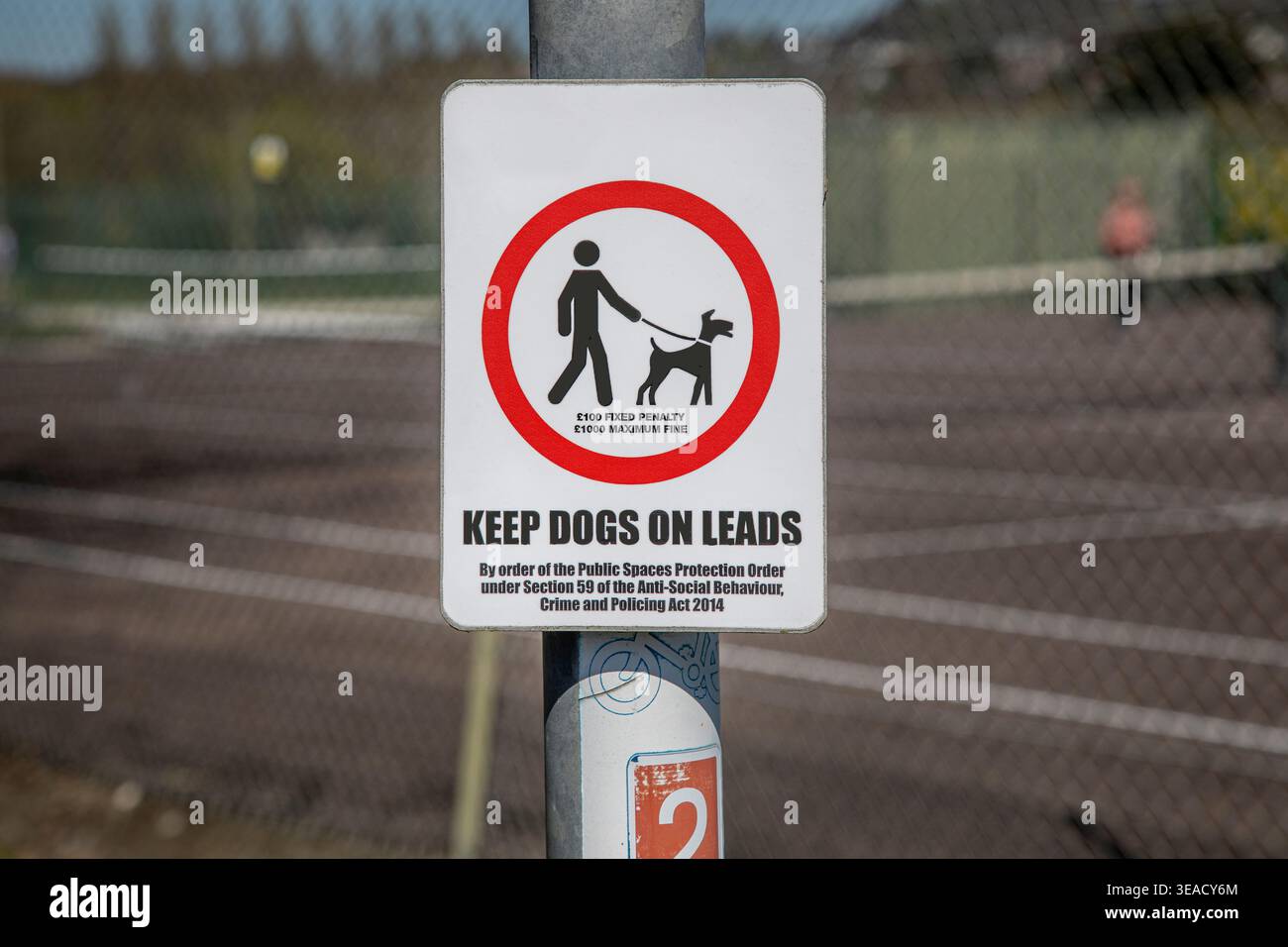 Ein Schild, auf dem steht, Hunde auf der Spur halten Stockfoto
