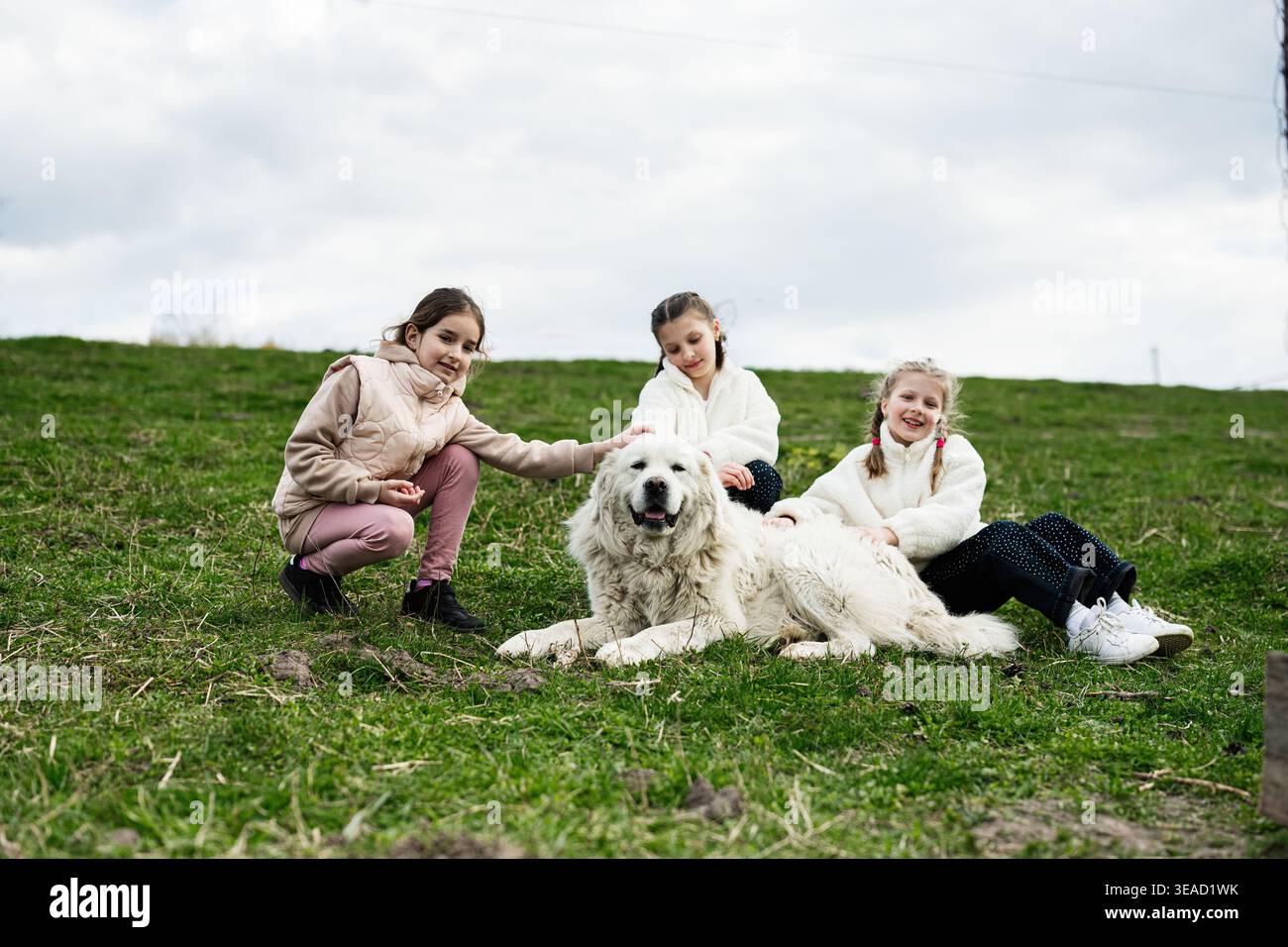 Drei glückliche Mädchen sitzen auf einem grasbewachsenen Hügel, streicheln einen großen weißen Hund und genießen das Spielen im Freien. Stockfoto
