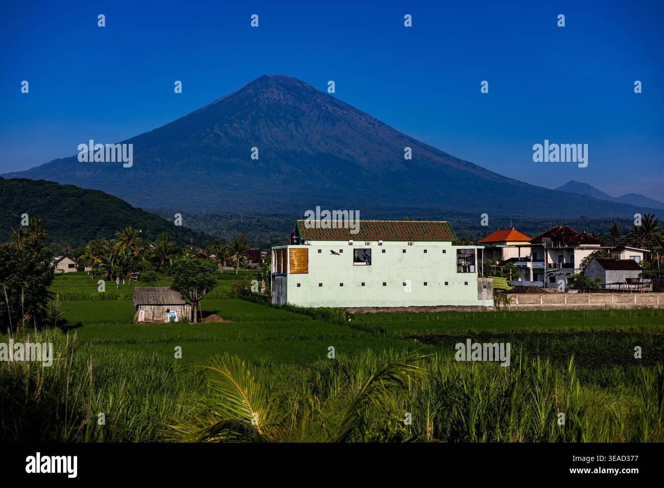 Vulkan Mount Agung mit Reisfeldern im Vordergrund, Bali, Indonesien Stockfoto