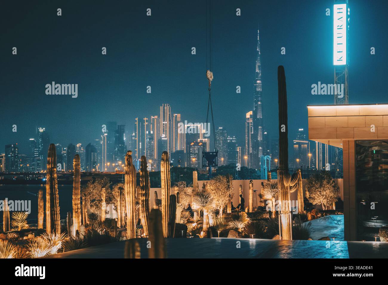 12. Januar 2026, Dubai, VAE: Stadtbild mit Burj Khalifa und modernen Gebäuden bei Nacht, von einem beleuchteten Kerulah-Kaktusgarten aus gesehen Stockfoto