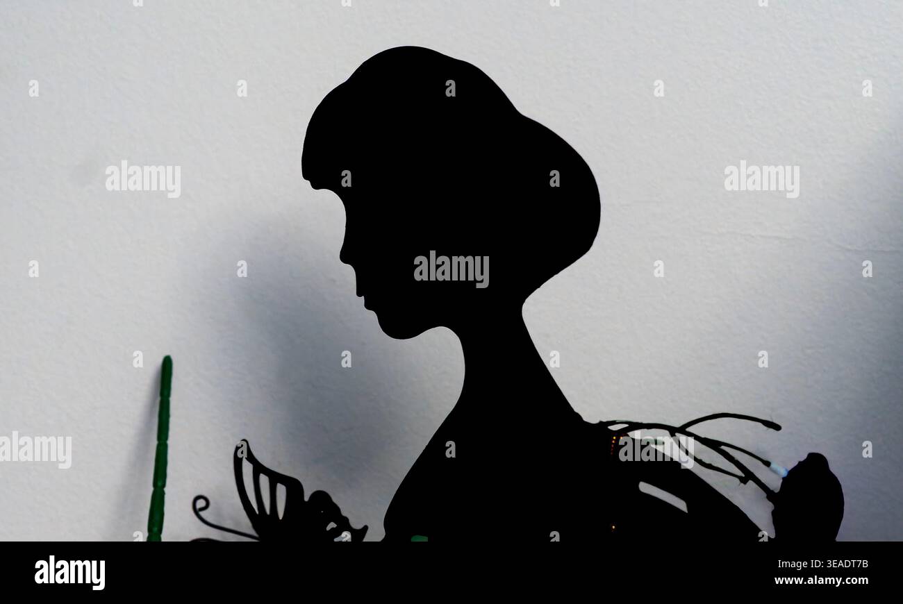 Silhouettenfigur eines Haushaltsschmucks Stockfoto