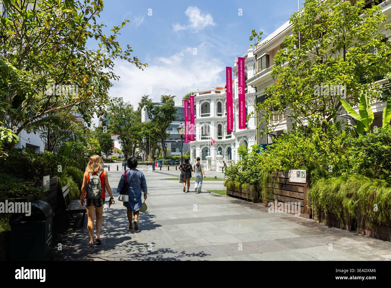 Armenian Street Singapore, eine Fußgängerzone mit historischen Wandmalereien und öffentlichen Kunstwerken inmitten eines grünen Parks Stockfoto