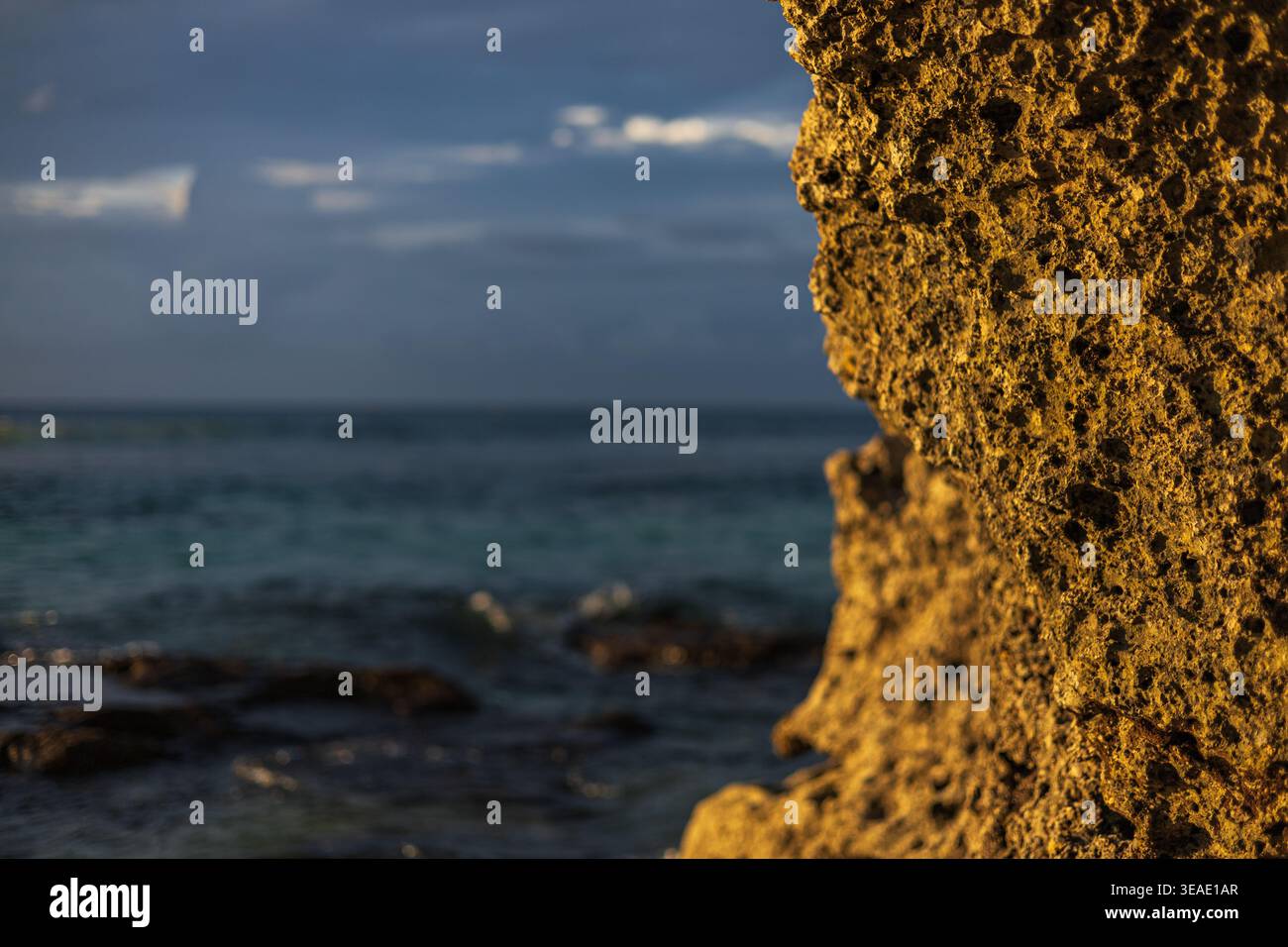 Poröses Küstenfelsen-Makro mit blauem Meer Hintergrund, Bali, Indonesien Stockfoto