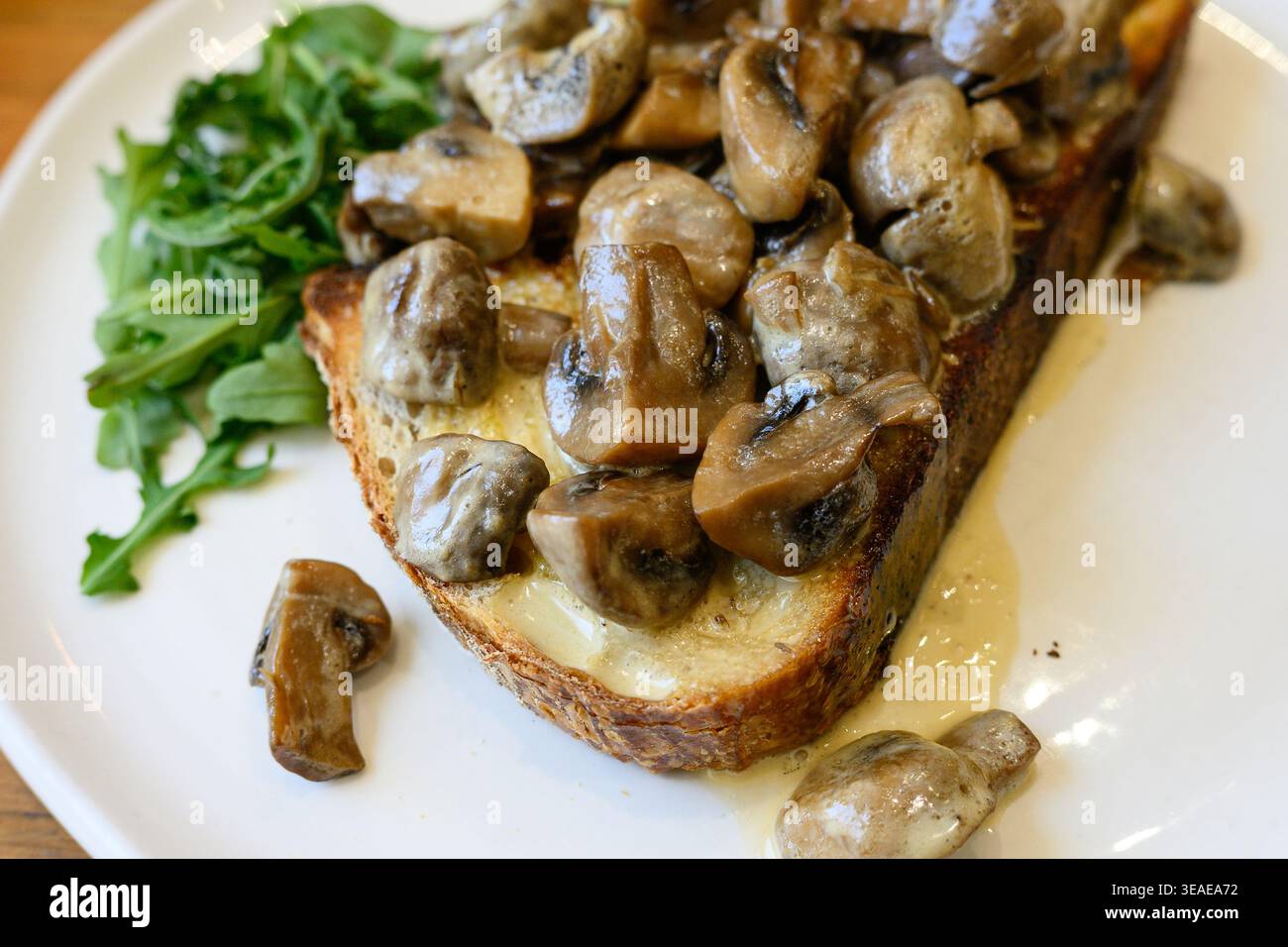Knoblauchpilze auf geröstetem Sauerteigbrot mit Knoblauchrahmsauce in Nahaufnahme anbraten Stockfoto