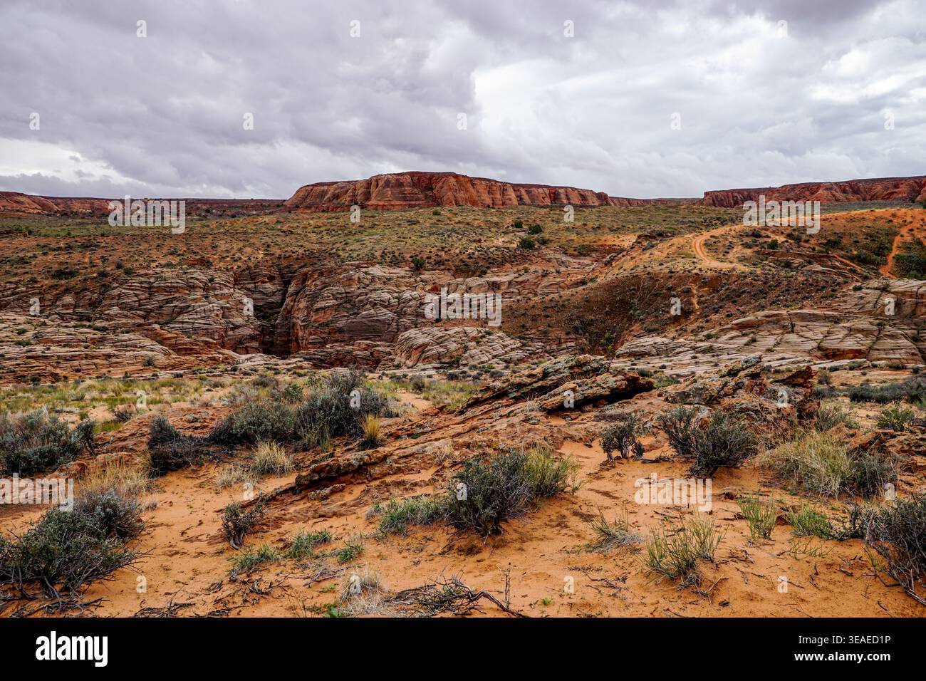 Wüstenschlucht mit mehrschichtigen Sandsteinklippen und karger Vegetation unter bewölktem Himmel, mit unbefestigter Straße, die sich durch trockenes Gelände schlängelt. Stockfoto